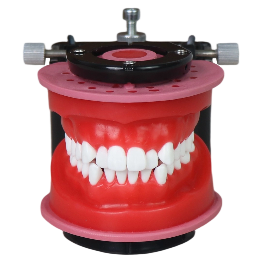 Orthodontic Wax Model with Articulator JG-Y7 – FOSHAN JINGLE MEDICAL EQUIPMENT CO.,LTD., Splint Fabrication