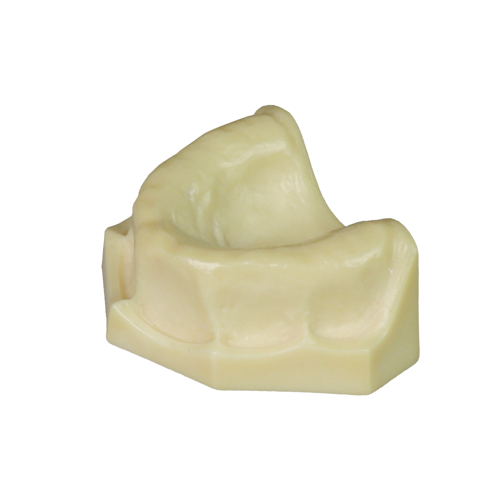 Dental Implant Training Model – Hard Resin with Soft Gum for Implant Practice JG-Y8-F1-3 – FOSHAN JINGLE MEDICAL EQUIPMENT CO.,LTD., Demonstration Models