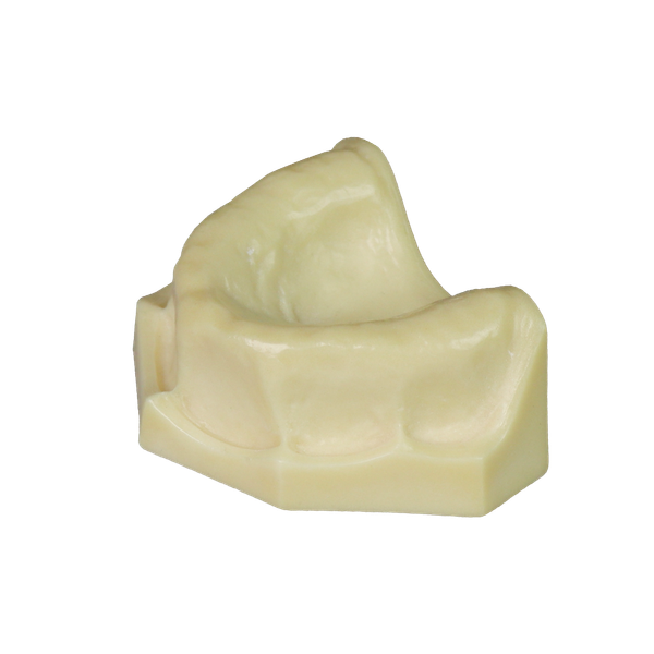 Dental Implant Training Model – Hard Resin with Soft Gum for Implant Practice JG-Y8-F1-3