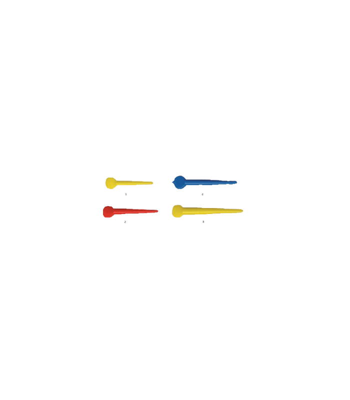 Pincast