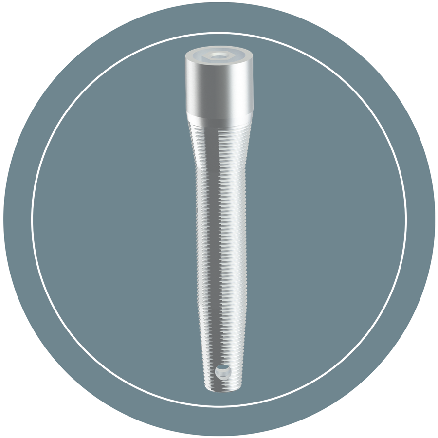 PTÉRYGOIDIEN – Visy, Implants