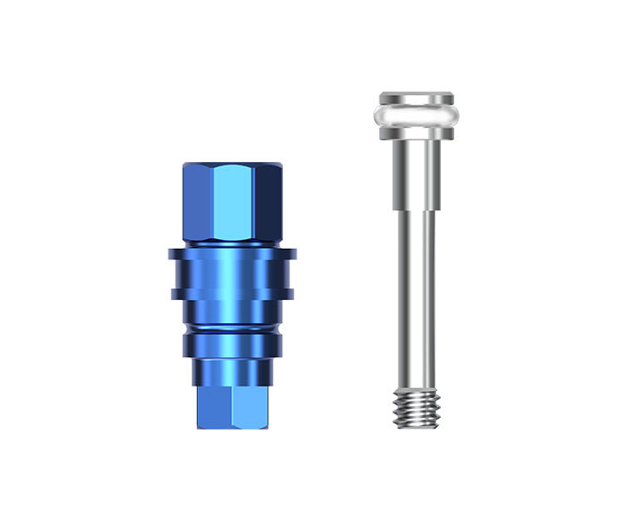 Abutments Mount & Screw