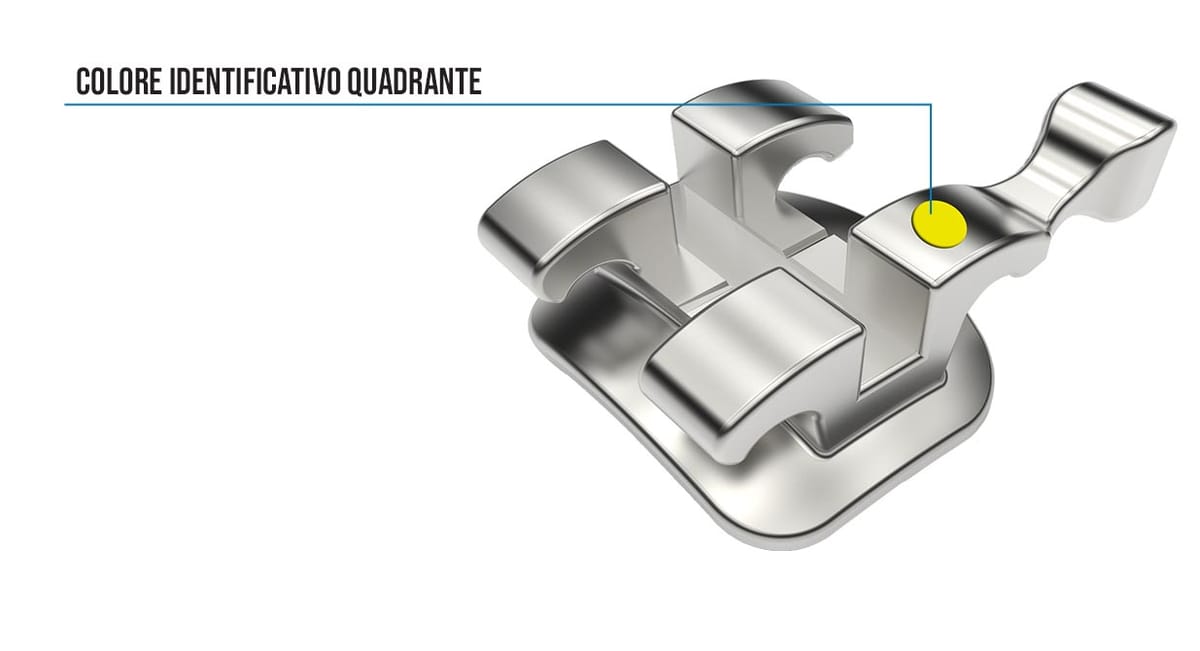 Bracket gemellare Queen – Aestetika srl, Brackets