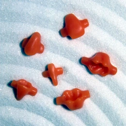 Prefabricated Wax Single Parts Refill pack – al dente Dentalprodukte, Dental Waxes