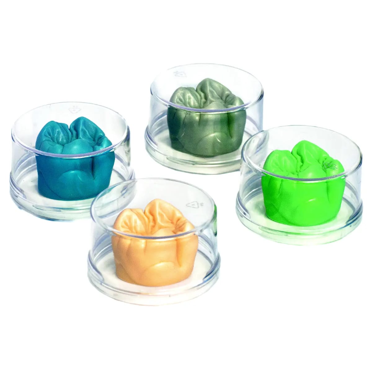"Tooth" Sculpturing Wax molar blue transparent, 40 g – al dente Dentalprodukte, Waxes