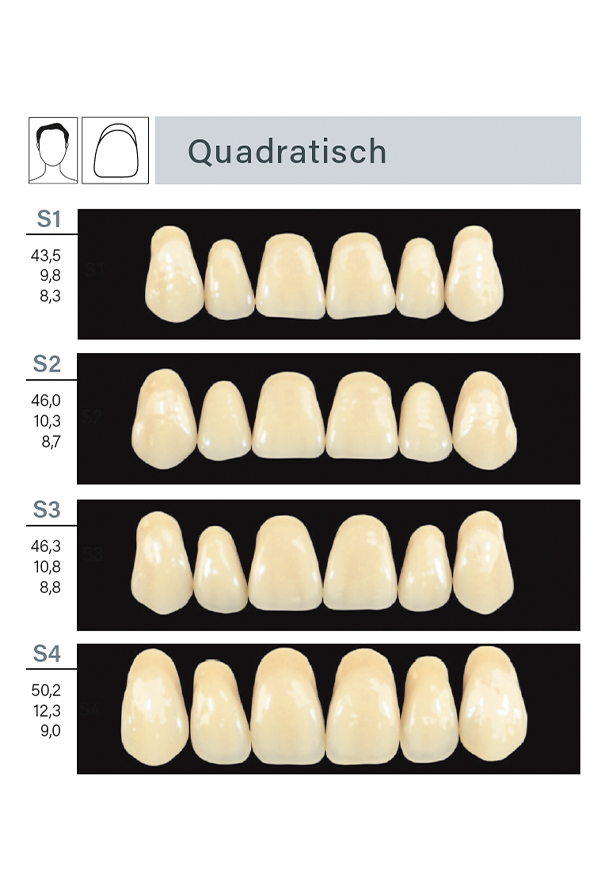 INKA plus – ARGEN Dental, Künstliche Zähne und Zubehör