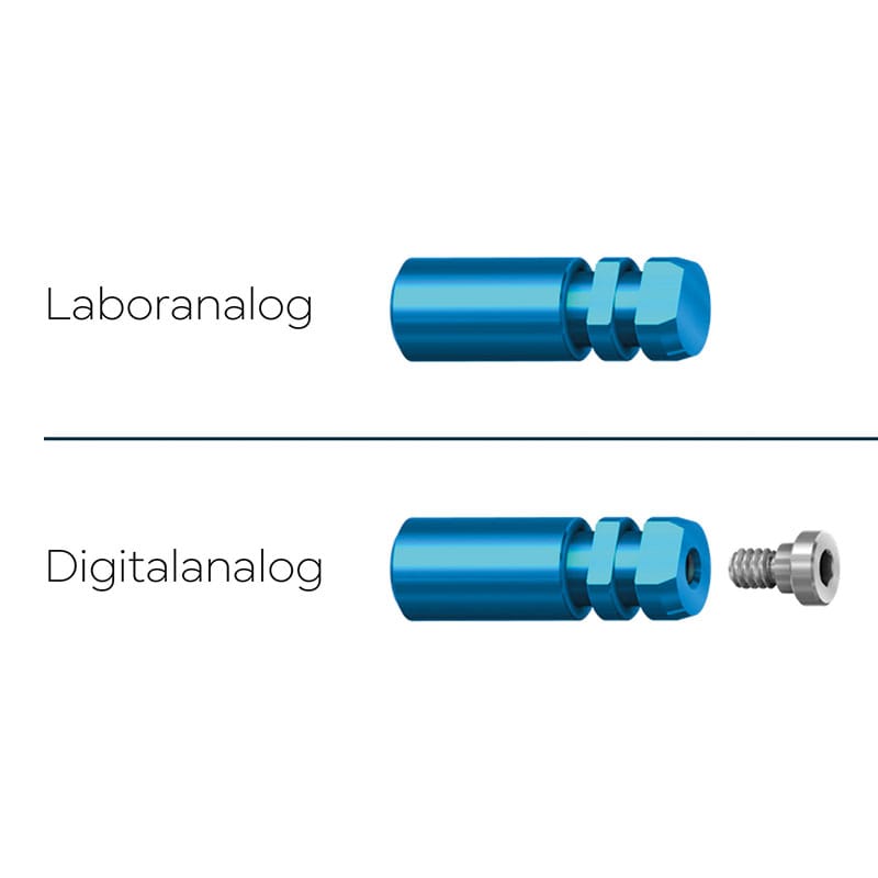 Analoge – ARGEN Dental, Other