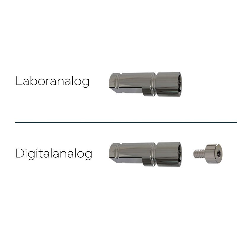 Analoge