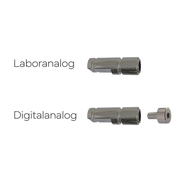 Analoge