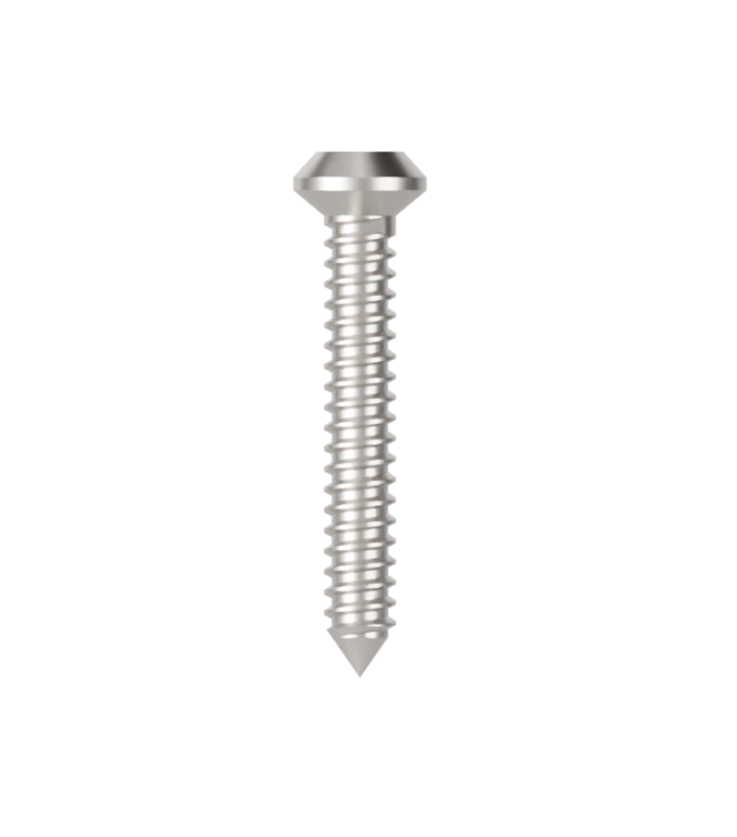Viti di bloccaggio – Biologitech Srl, Bone Graft Materials
