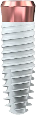 Kontact PL