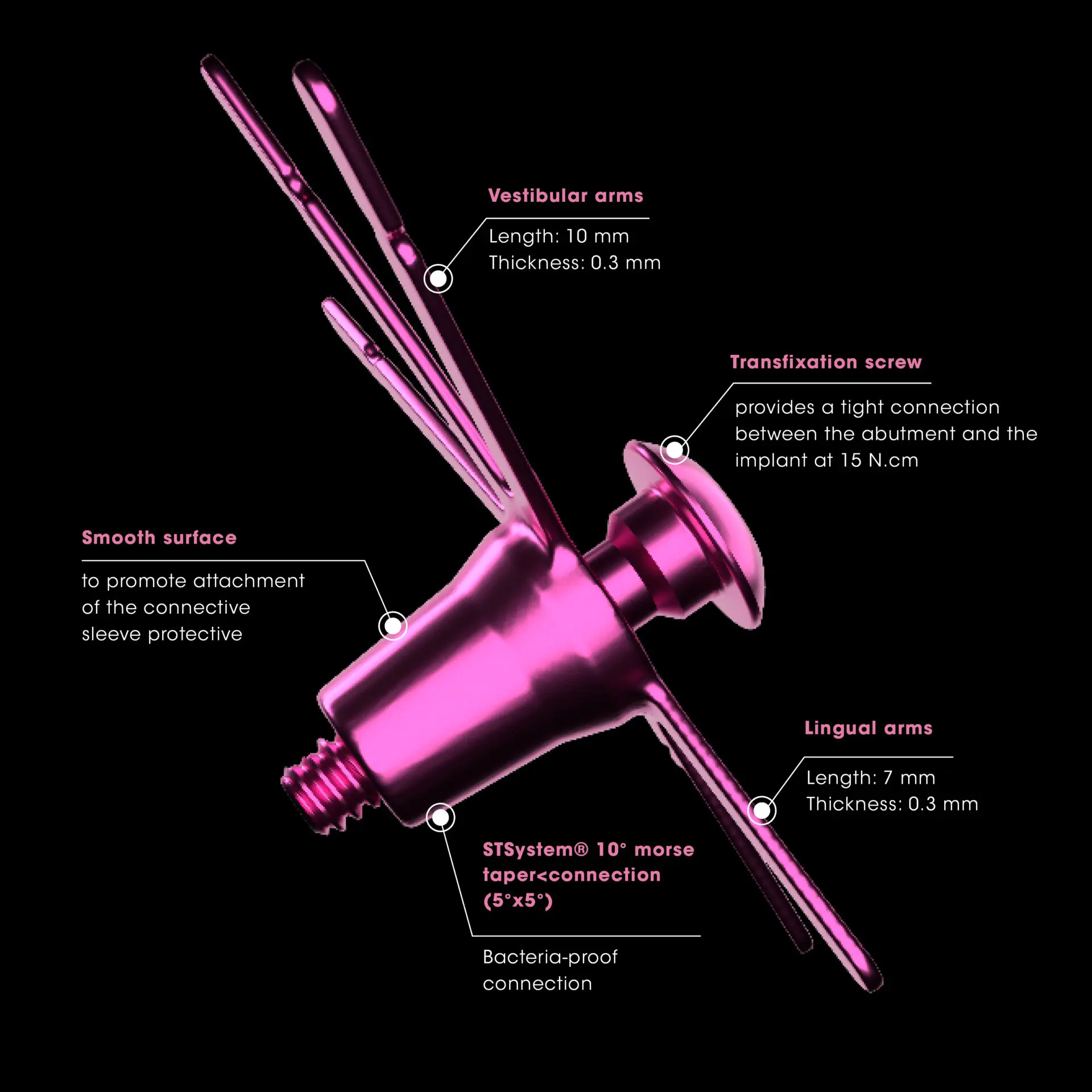 SpiderGraft – BIOTECH DENTAL, Membranes & Barriers