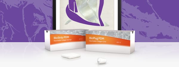 BioPlug und BioStrip Wundauflagen
