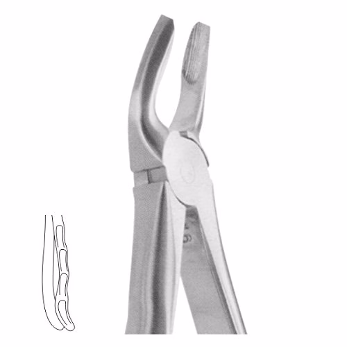 Anatomical Extracting Forceps, Upper Premolars, No. 7 – ComDent