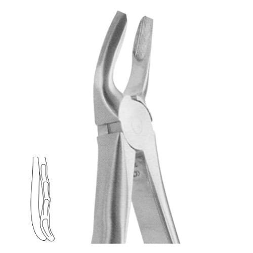 Anatomical Extracting Forceps, Upper Premolars, No. 7 – ComDent