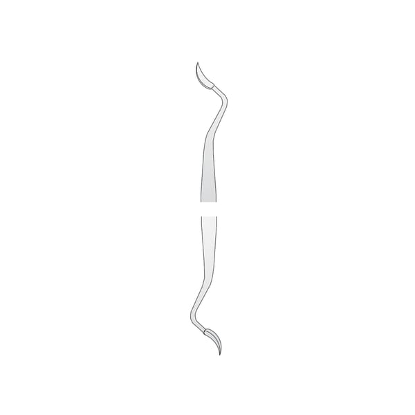 SCALER TAYLOR 2/3