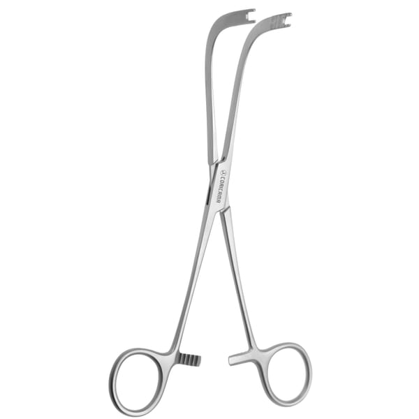 PINCE ARNHOLD mm200 COURBE