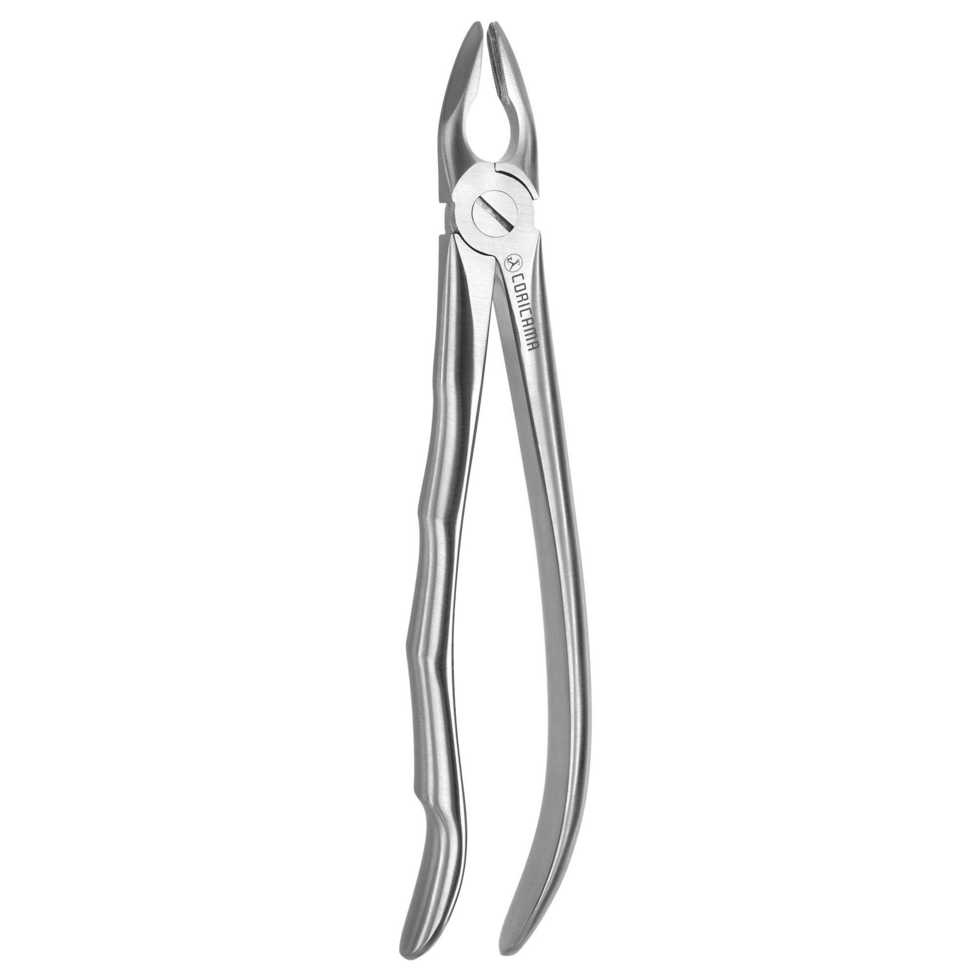 TOOTH FORCEPS BLADE BEAKS N. 1 – Coricama srl, Extraction Forceps