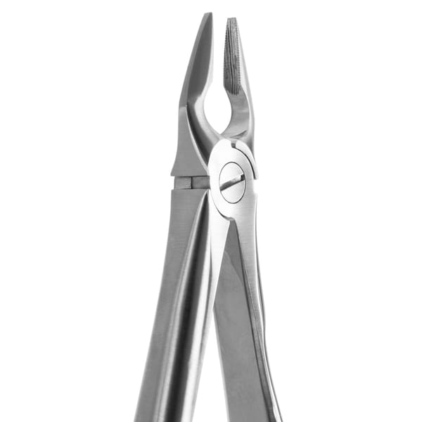 DAVIER POUR EXTRACTION BLADE BEAKS N.34-N