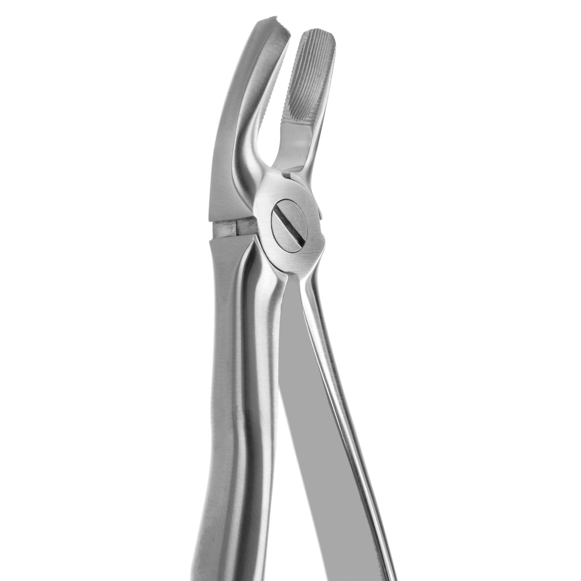 DAVIER POUR EXTRACTION BLADE BEAKS N.17