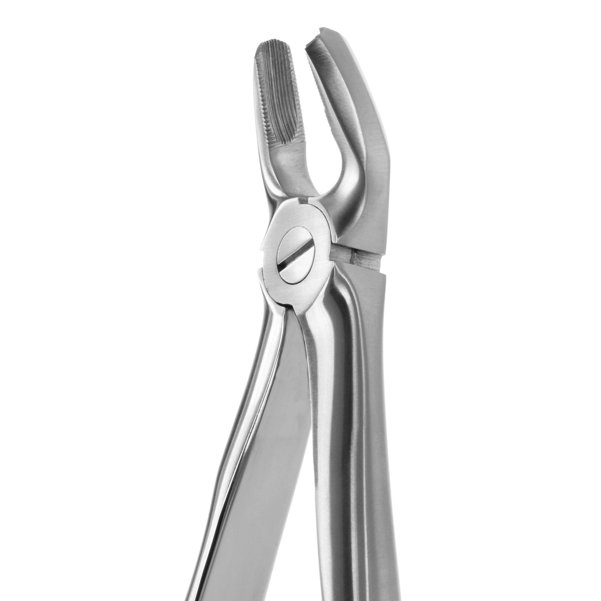DAVIER POUR EXTRACTION BLADE BEAKS N.18