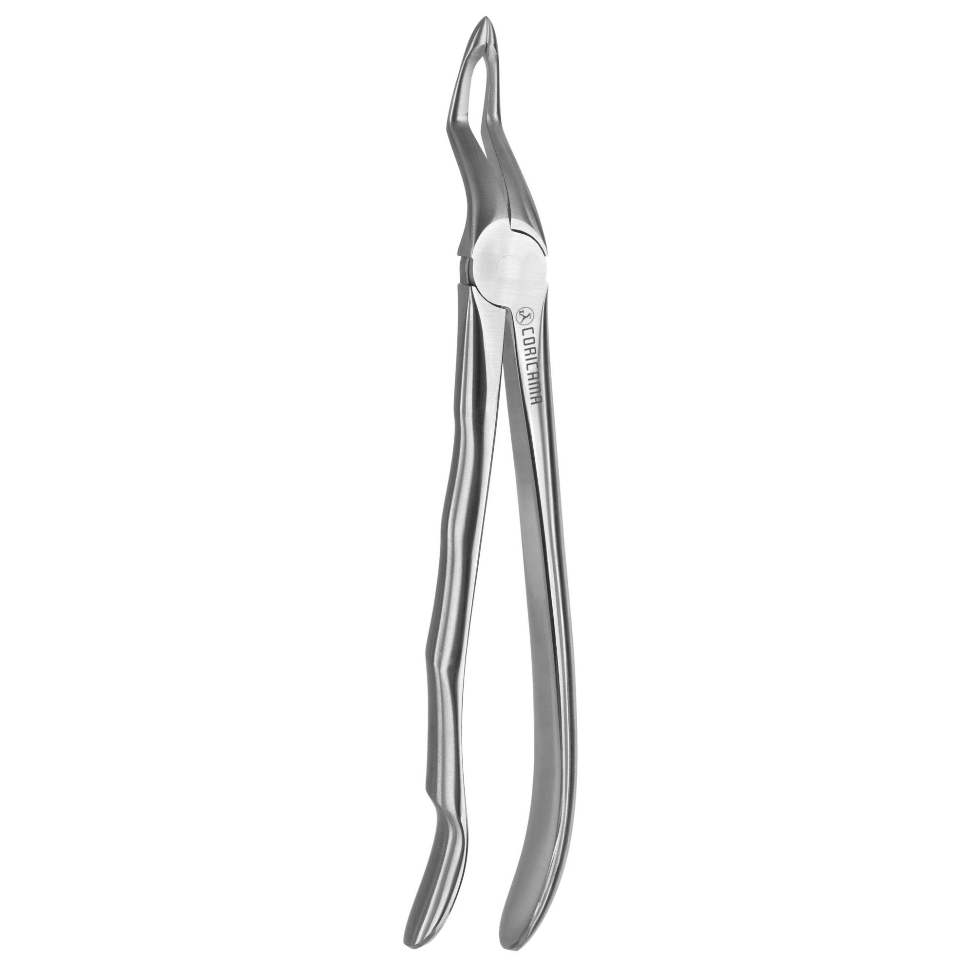 DAVIER POUR EXTRACTION BLADE BEAKS N.51