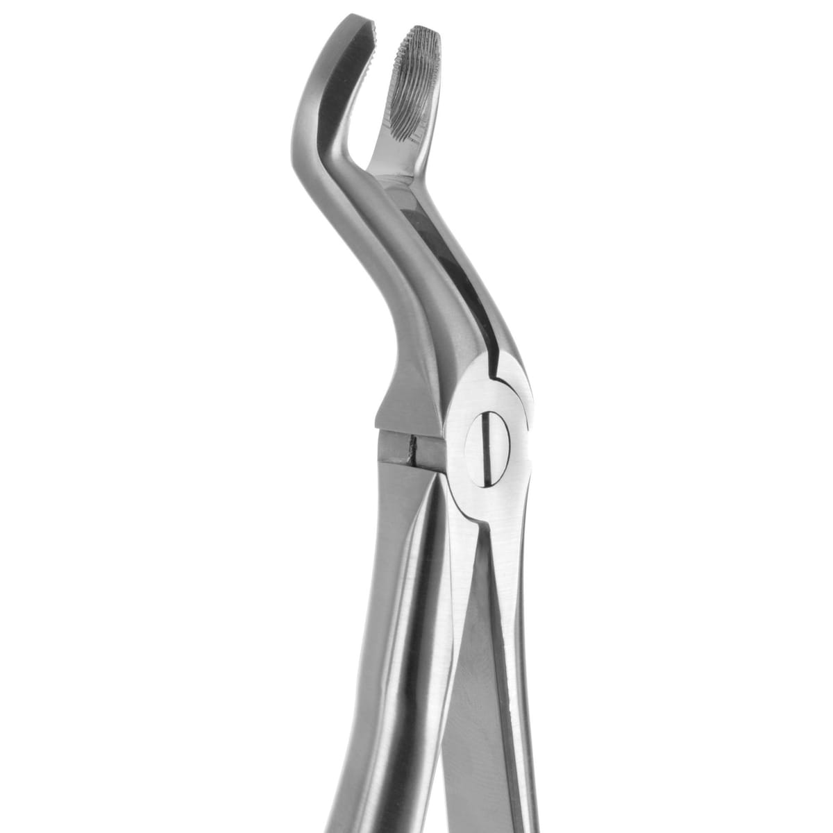 TOOTH FORCEPS BLADE BEAKS N.67 612280 – Coricama srl, Extraction Forceps