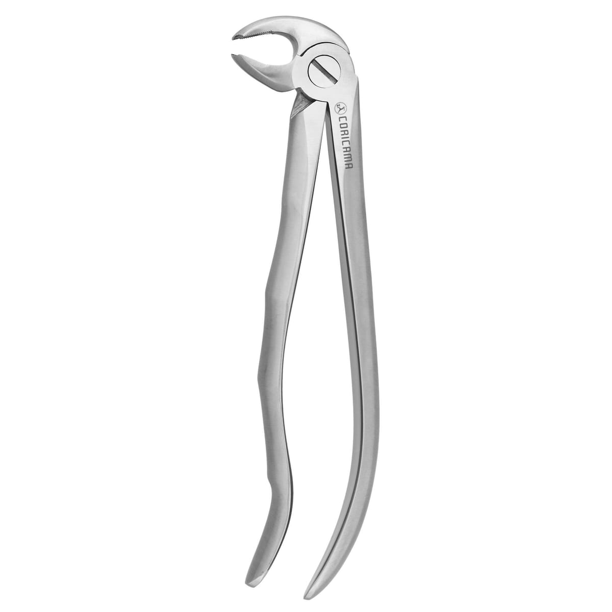 TOOTH FORCEPS BLADE BEAKS N.22 612410 – Coricama srl, Extraction Forceps