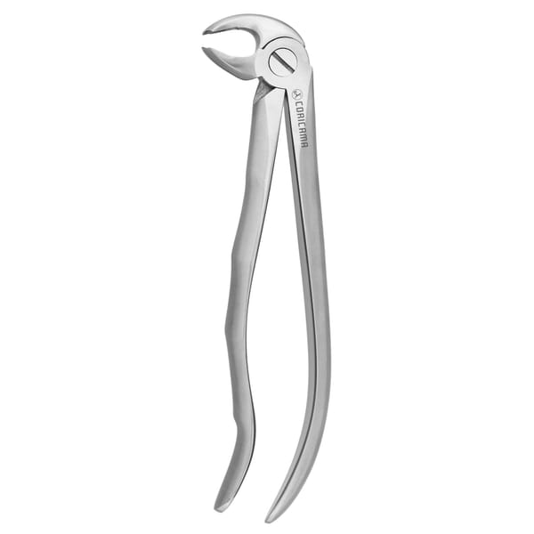 DAVIER POUR EXTRACTION BLADE BEAKS N.22