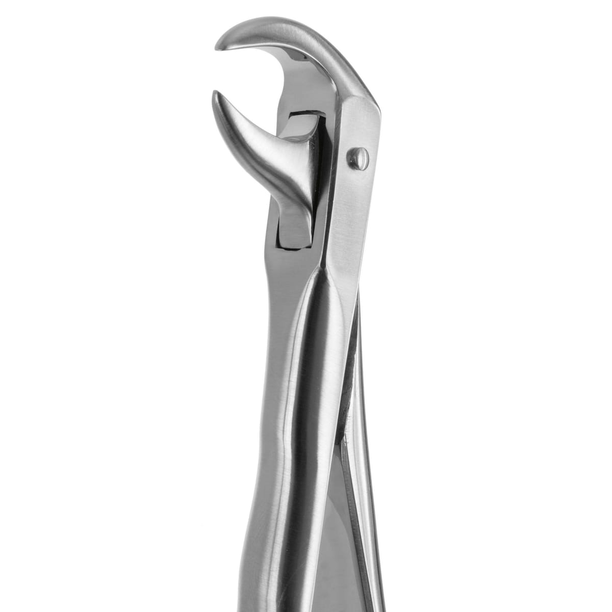 TOOTH FORCEPS BLADE BEAKS N.86 612420 – Coricama srl, Extraktionszangen