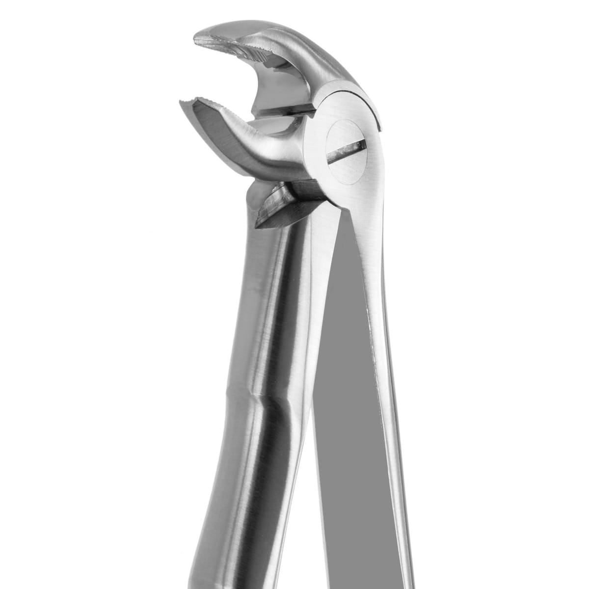 TOOTH FORCEPS BLADE BEAKS N.13 612440 – Coricama srl, Extraction Forceps