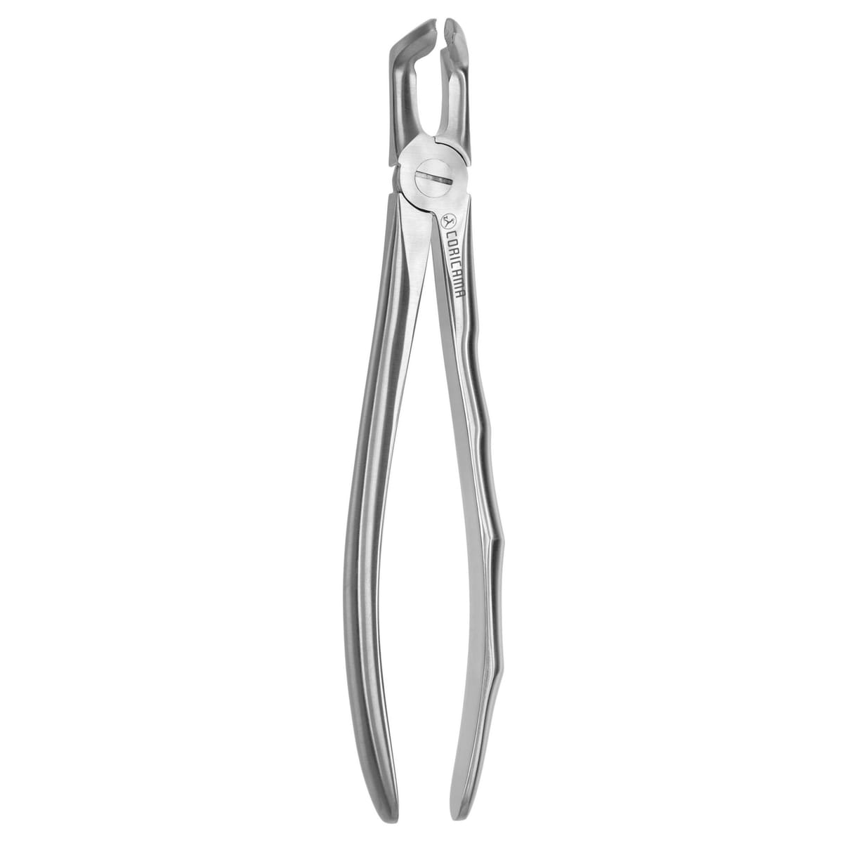 TOOTH FORCEPS BLADE BEAKS N.79 612450 – Coricama srl, Extraction Forceps