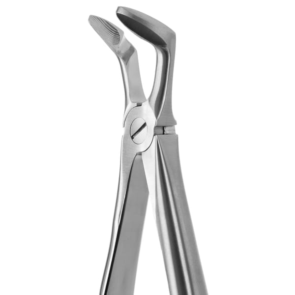 DAVIER POUR EXTRACTION BLADE BEAKS N.79-N