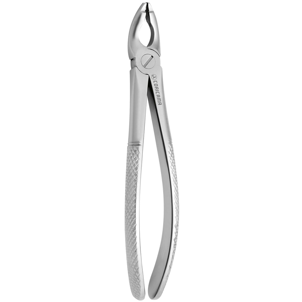 TOOTH FORCEPS N.181 625160 – Coricama srl, Extraction Forceps