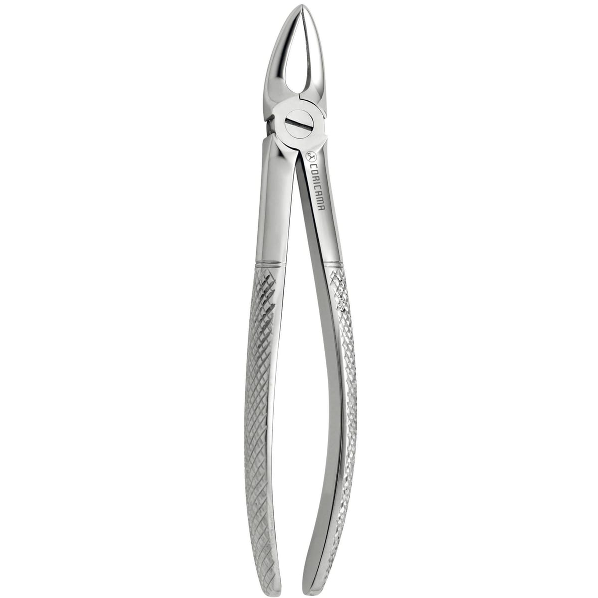 TOOTH FORCEPS N.147 625510 – Coricama srl, Extraction Forceps