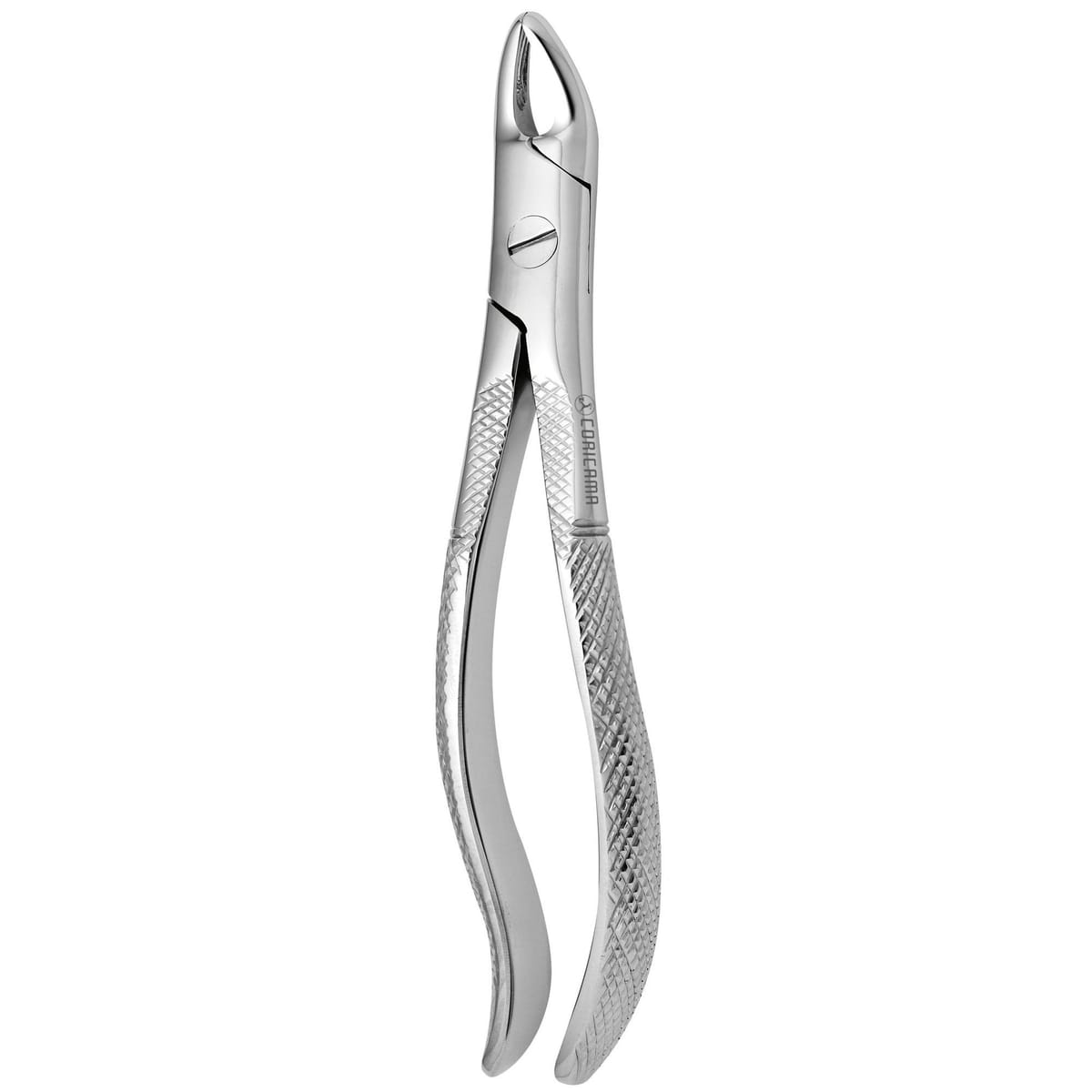 TOOTH FORCEPS N.110 625540 – Coricama srl