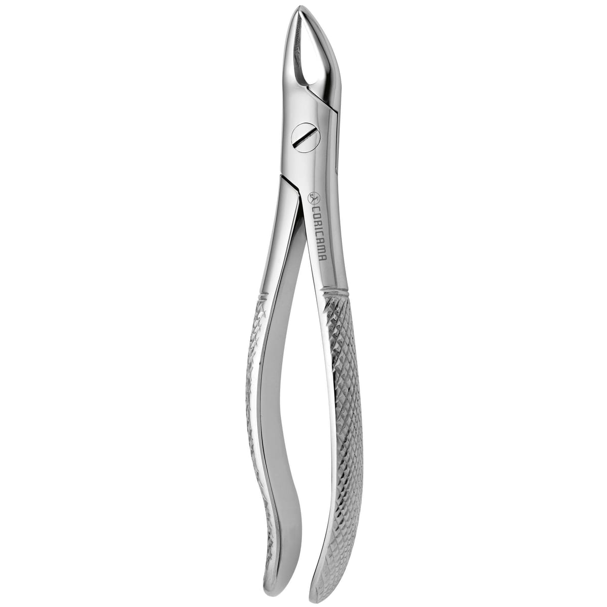 TOOTH FORCEPS N. 76 625560 – Coricama srl