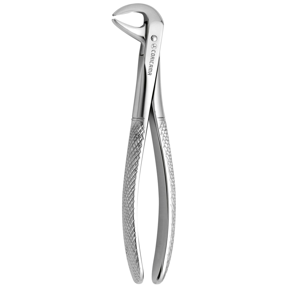 TOOTH FORCEPS N. 75 625620 – Coricama srl