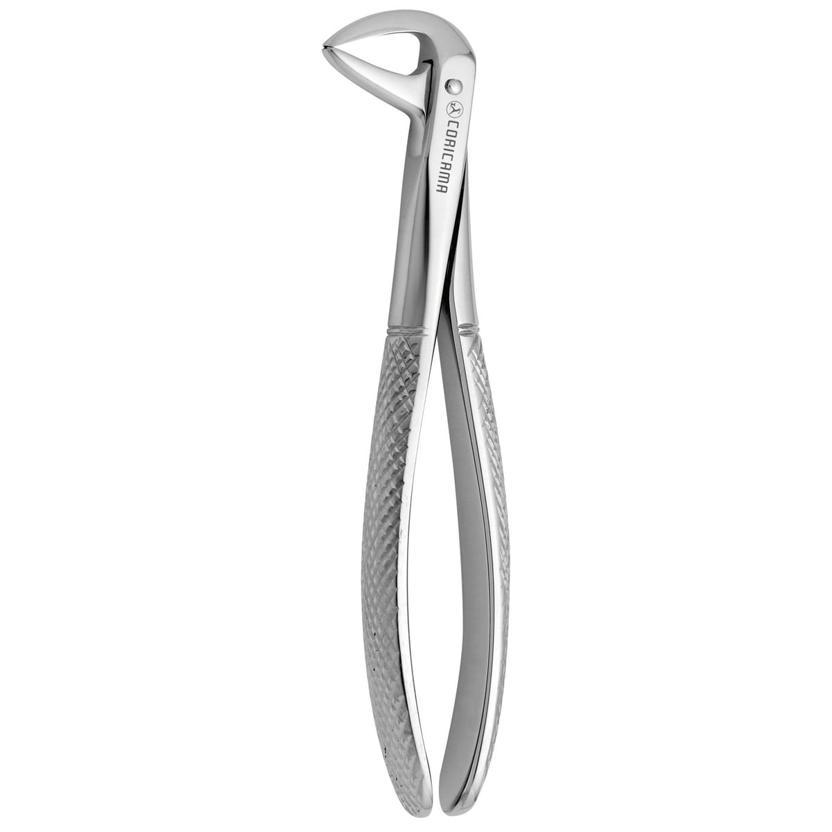 TOOTH FORCEPS N.137 625630 – Coricama srl