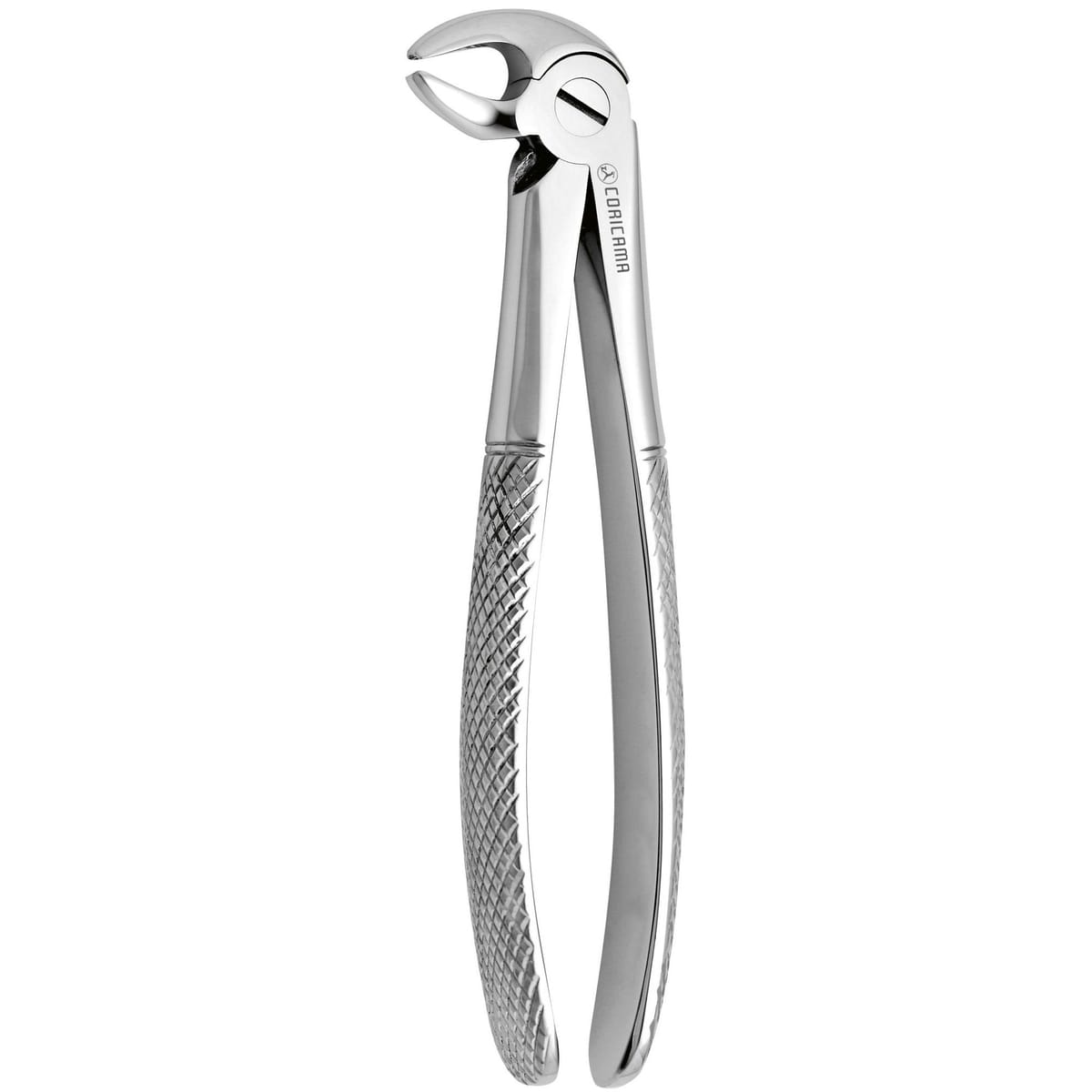 TOOTH FORCEPS N. 13 625660 – Coricama srl