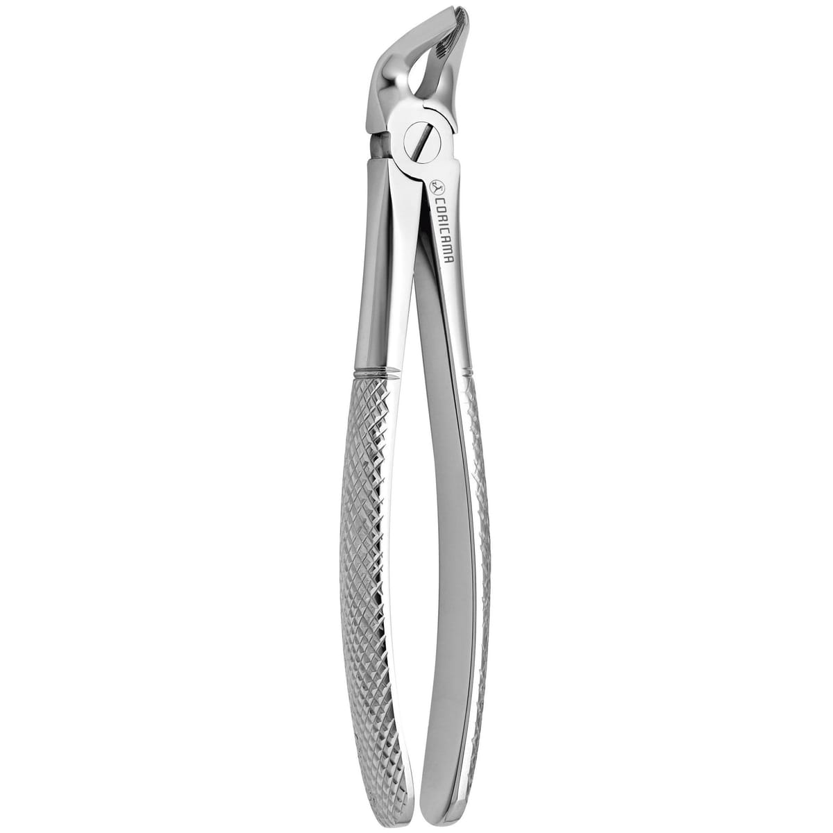 TOOTH FORCEPS N. 8 625670 – Coricama srl