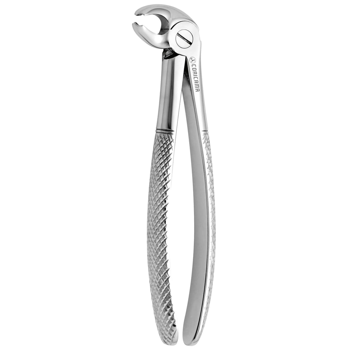 TOOTH FORCEPS N. 24 625780 – Coricama srl
