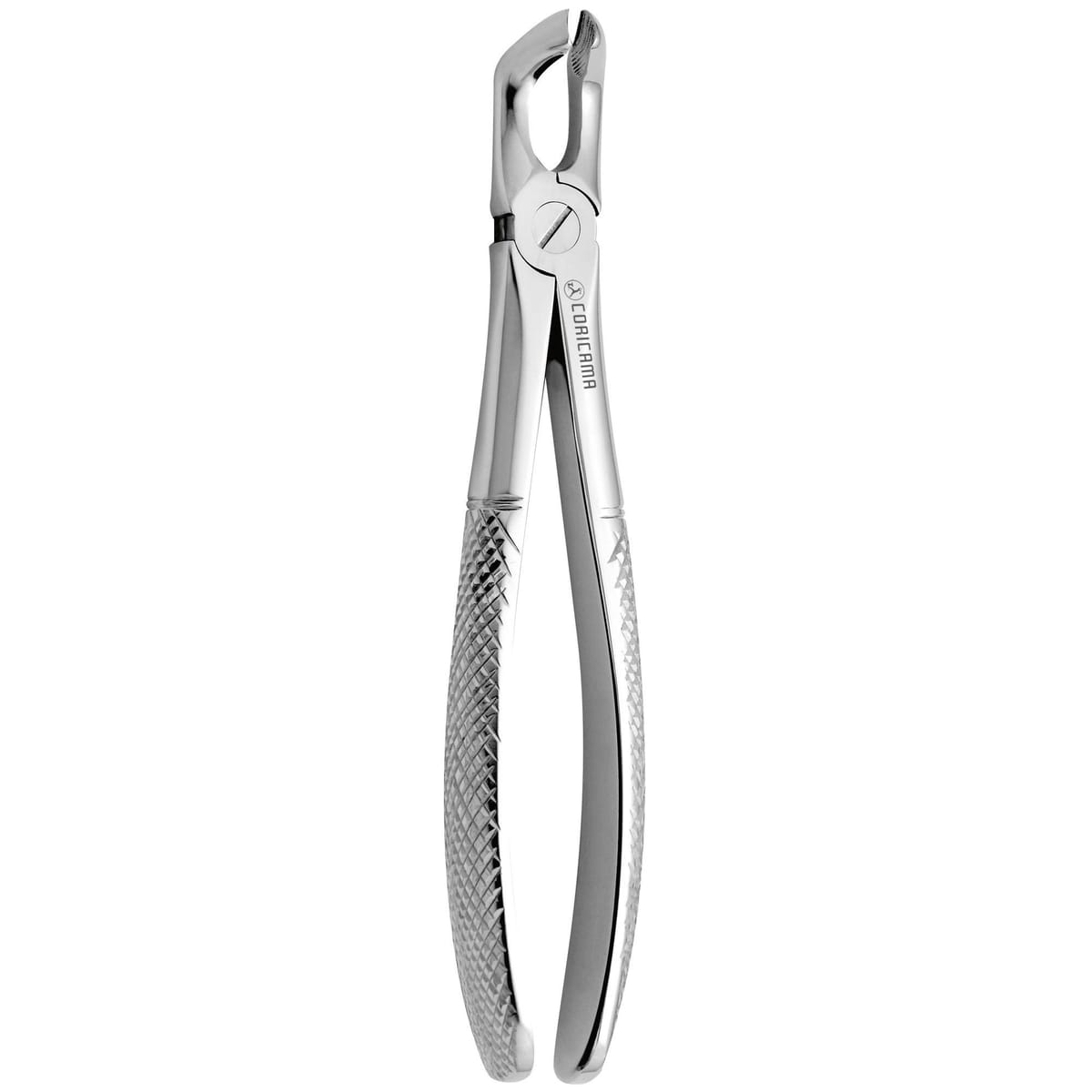 TOOTH FORCEPS N. 79-A 625835 – Coricama srl