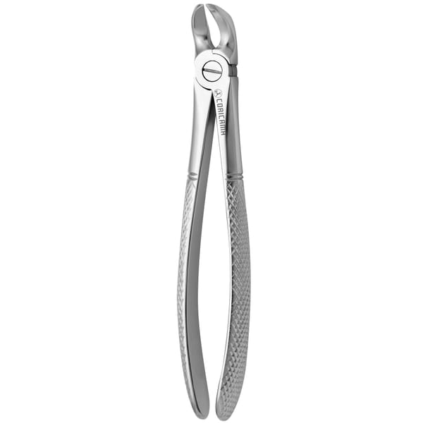 TOOTH FORCEPS N. 56 625840
