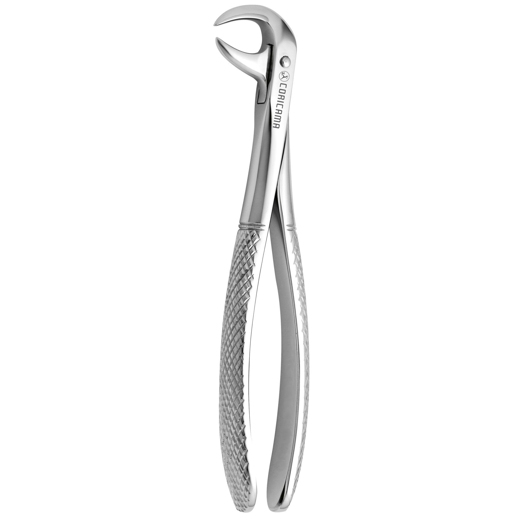 DAVIER POUR EXTRACTION CORNE DE VACHE N.86