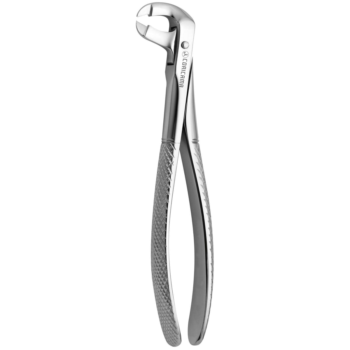 TOOTH FORCEPS COW HORN N.91 625870 – Coricama srl, Extraction Forceps