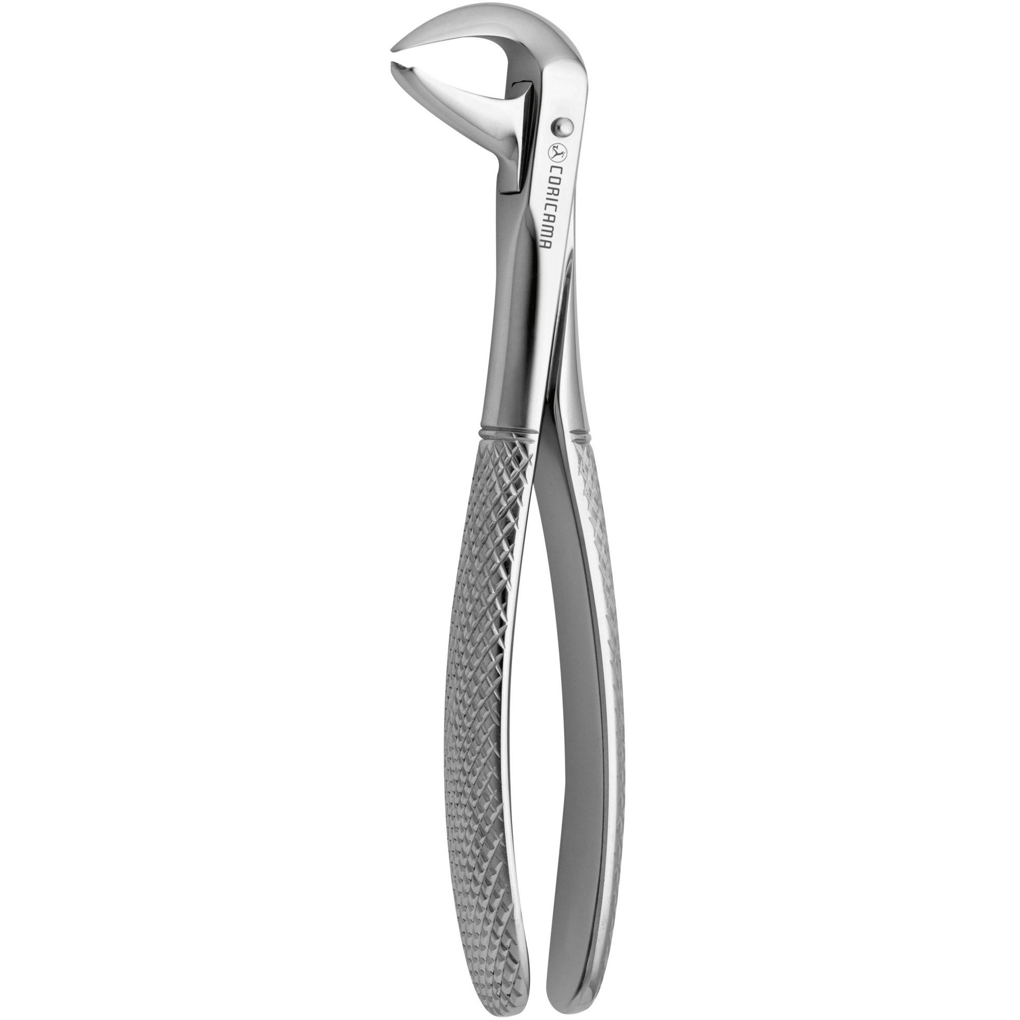 DAVIER POUR EXTRACTION CORNE DE VACHE N.99