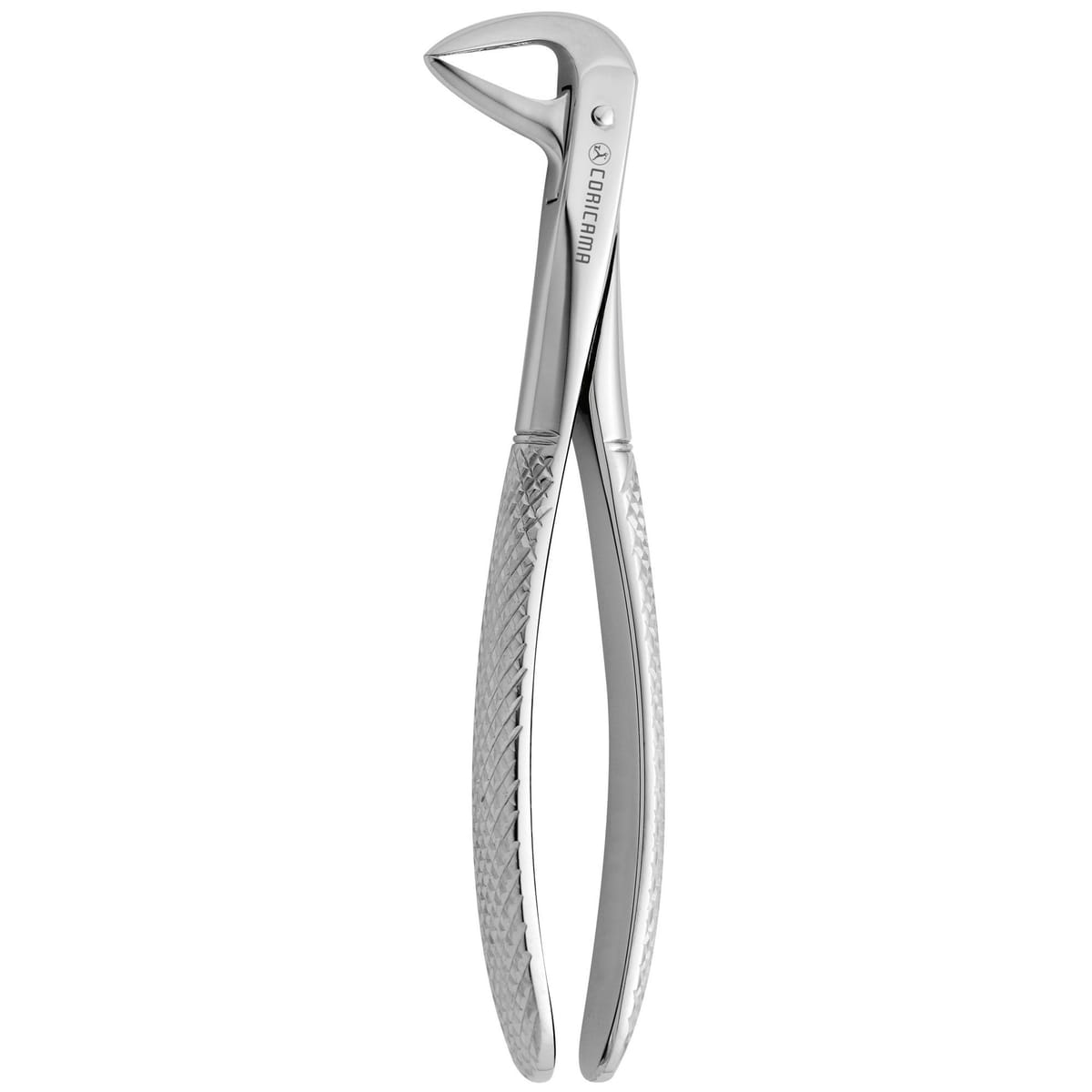 TOOTH FORCEPS N.143 625955 – Coricama srl, Extraktionszangen