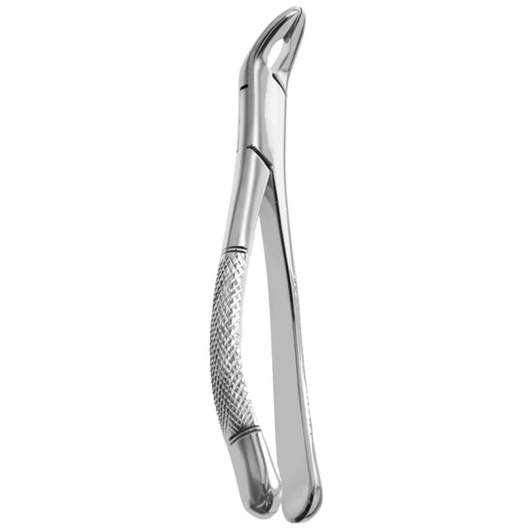 TOOTH FORCEPS AMERICAN N.151-A 632585