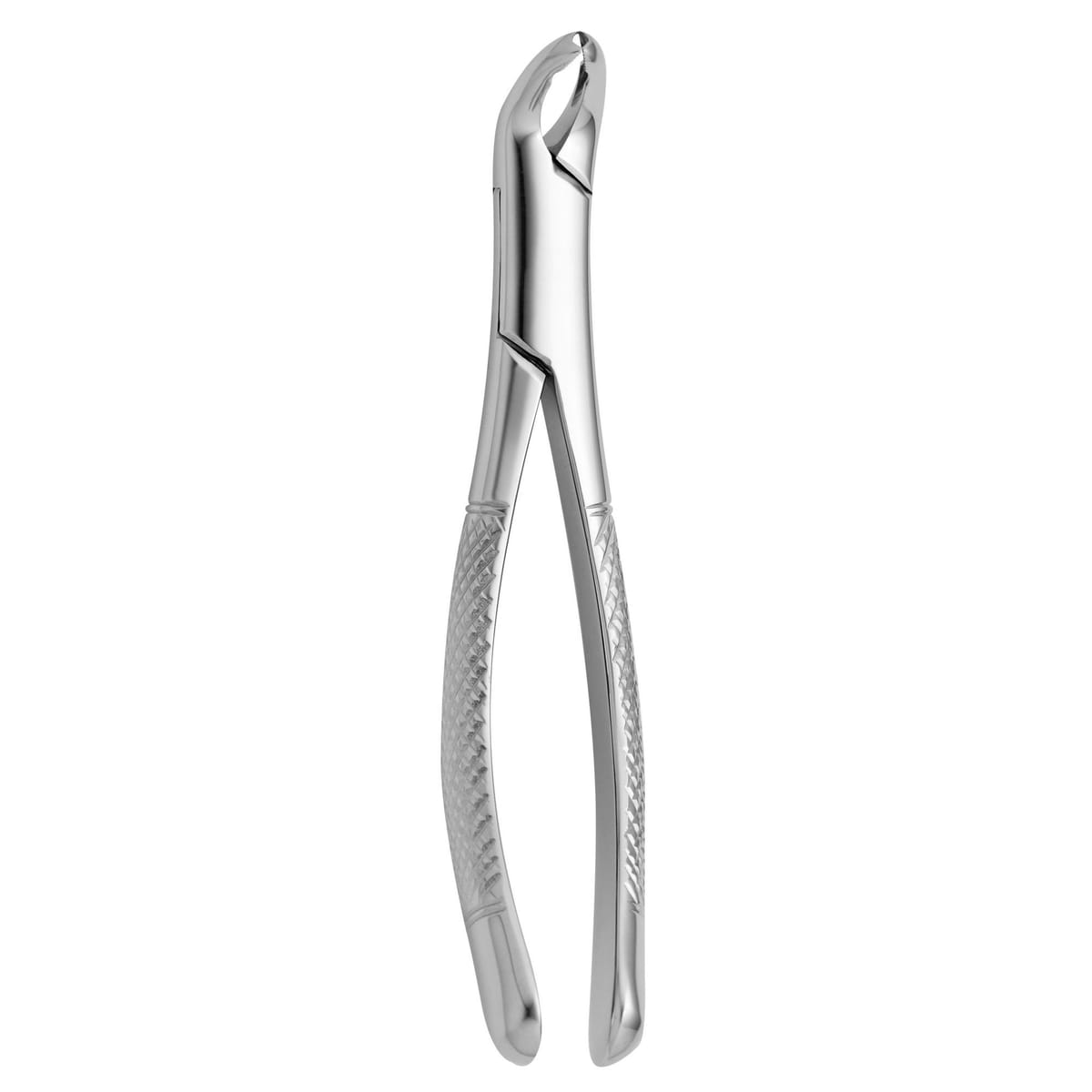 TOOTH FORCEPS AMERICAN N.151-AS 632590 – Coricama srl